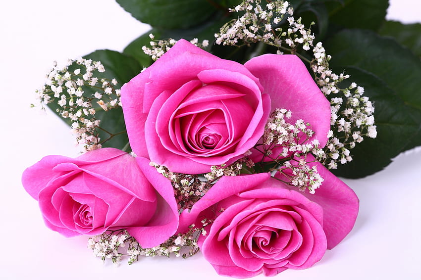 Kwiaty, Róże, Bukiet, Czułość Tapeta HD