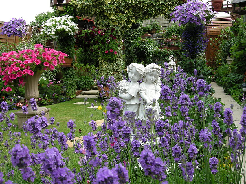 Lavender Blue, blue, lavender, flowers garden, beautiful, home HD wallpaper