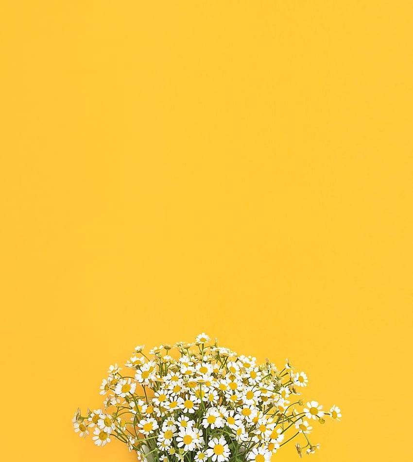 Monday blooms by clarenicolson. Shades of yellow color, Yellow art, Yellow aesthetic, Pastel Yellow Floral HD phone wallpaper