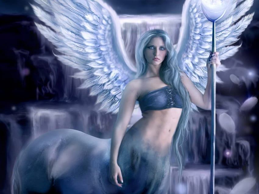 Winged Centaur, wings, horse, fantasy, pretty, centaur, woman HD wallpaper