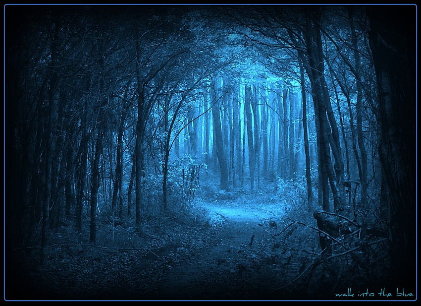 sunlight forest fall nature wood surreal Germany magic moonlight texture atmosphere path midnight Cologne ART light. Mystical forest, Autumn nature, Forest falls HD wallpaper