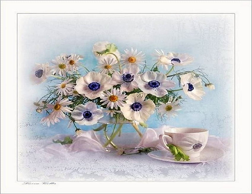 Daisy color - still life, glass vase, white, colored centers, muted blue background, cup, daisies HD wallpaper