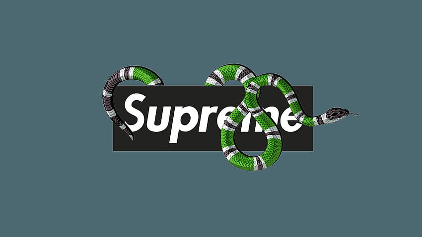 Download Epic Supreme x Gucci Collaboration Wallpaper