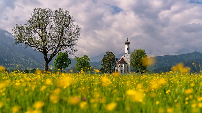 St Coloman Church, Schwangau, Baviera, capela, árvores, paisagem, nuvens, flores, céu, Alpes, dentes de leão, Alemanha papel de parede HD