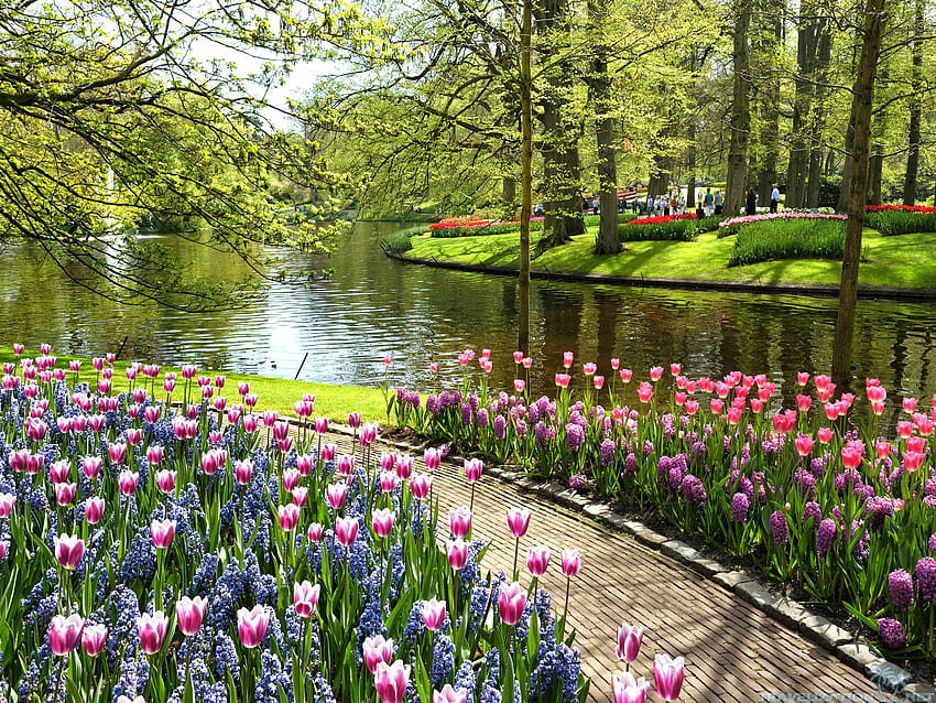 Frühlings-englischer Garten -, Frühlings-englischer Garten-Hintergrund auf Fledermaus, schöner Garten HD-Hintergrundbild