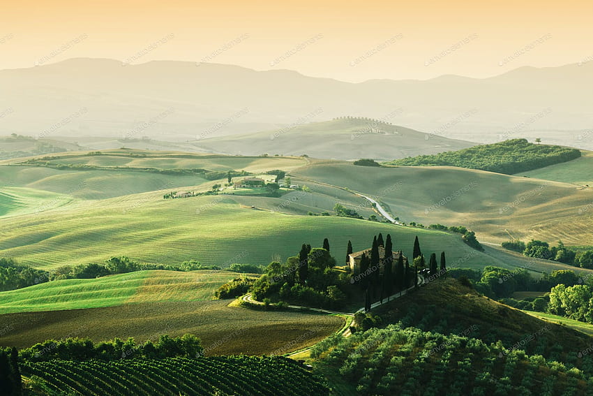Tuscany landscape at sunrise. Tuscan farm house, vineyard, hills. by creo on Envato Elements HD wallpaper