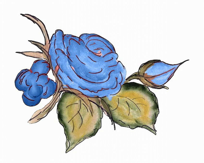 NIEBIESKA RÓŻA SZKIC, niebieski, róża, szkic, rysunek Tapeta HD