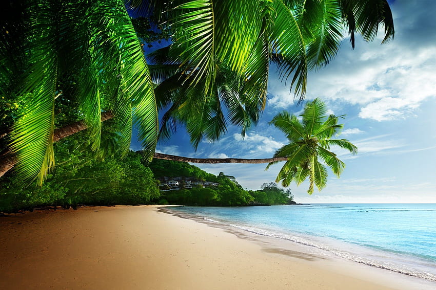 Beach, Palm, Coast, Ocean, Waves, Sand, 2256X1504 Ocean HD wallpaper