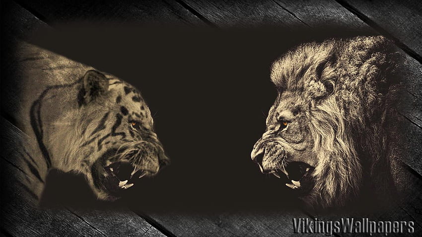 Lion Tiger - Blur Background Wallpaper Download | MobCup