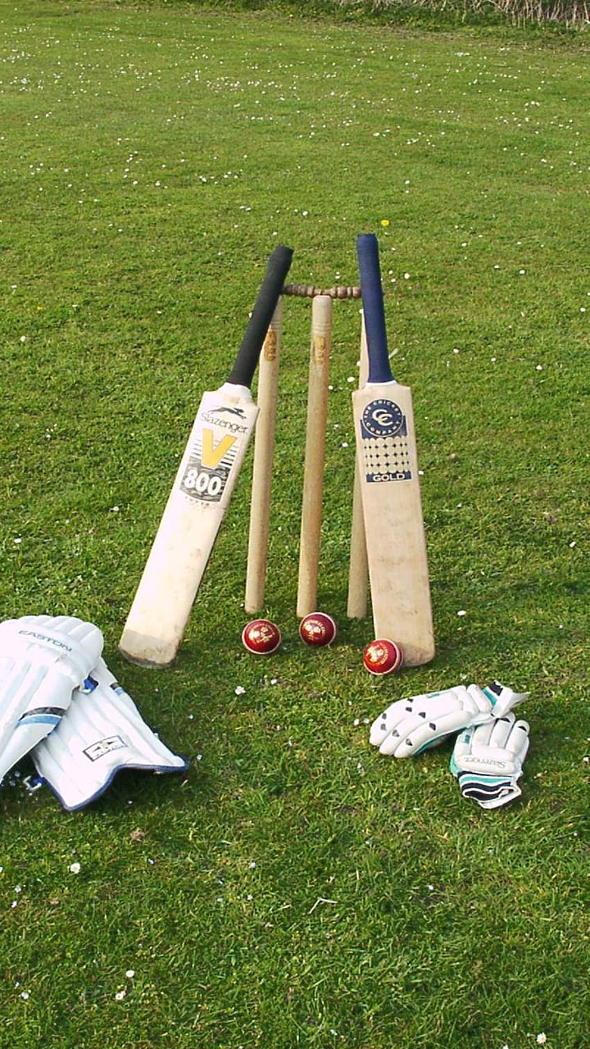 A Lovely Cricket Bat With a ball Wallpaper Download  MobCup