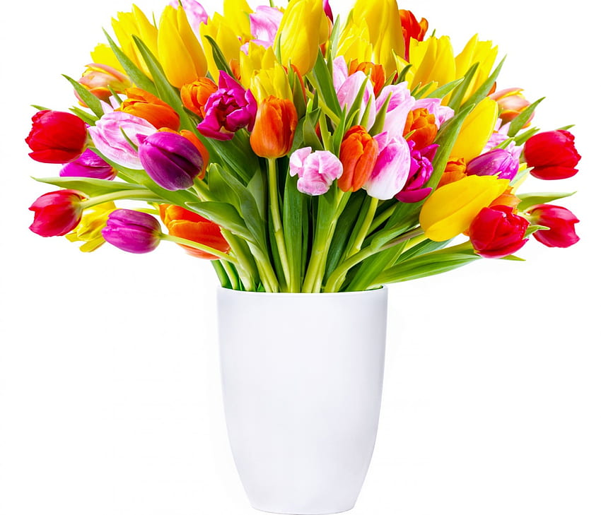 チューリップ、春の花、花瓶、カラフルなチューリップ 高画質の壁紙