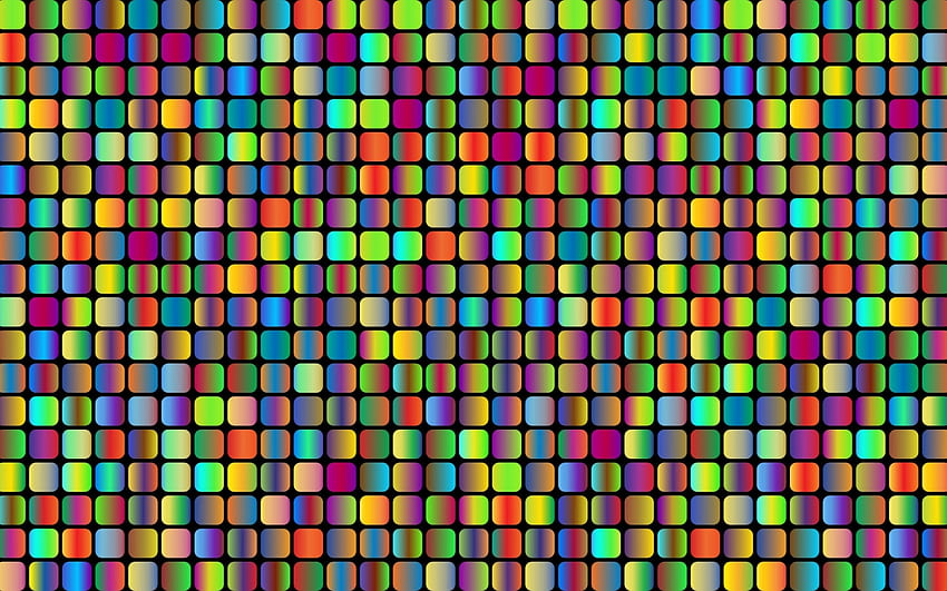 Texture, colorful, skin, rainbow HD wallpaper