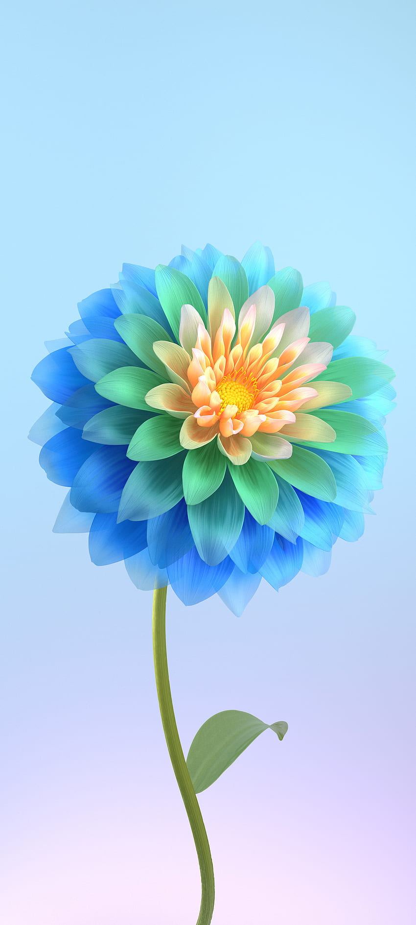 Flor, azul eléctrico, pétalo fondo de pantalla del teléfono