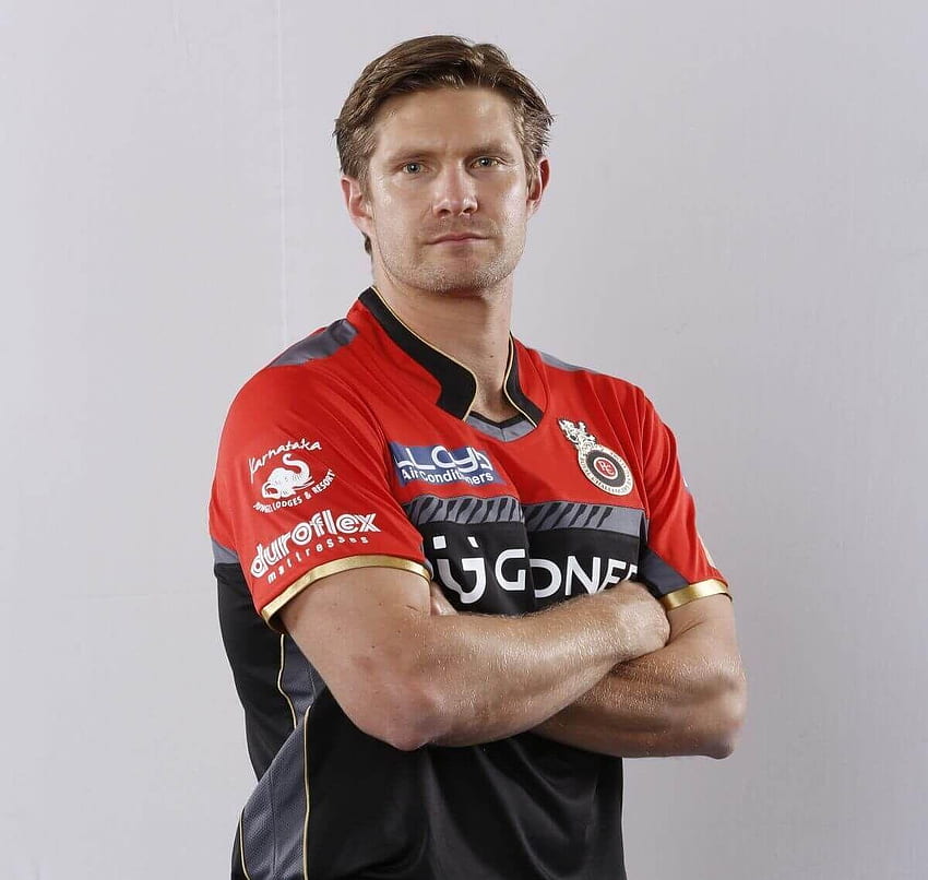 Shane Watson for Android HD wallpaper