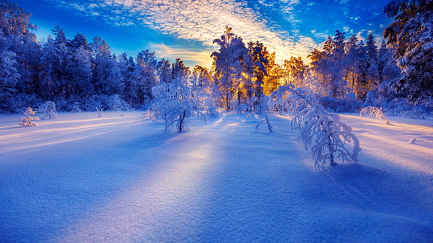 Śnieżny wschód słońca. iOS i Android, Śnieżny dzień Tapeta HD