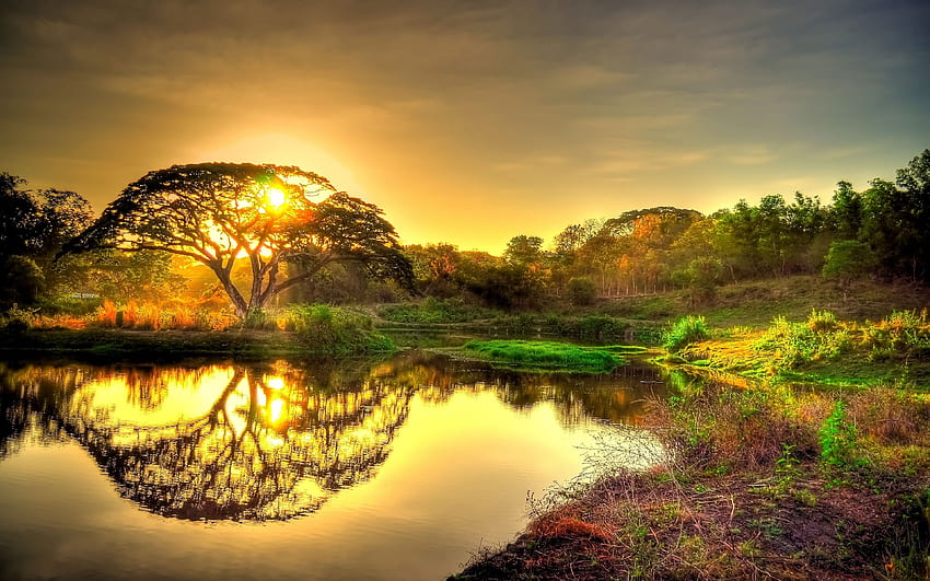 Những bức ảnh hoàng hôn với sắc vàng rực rỡ và ánh sáng thoáng qua tán cây sẽ làm cho bạn cảm thấy ngỡ ngàng trước sự hoàn hảo của thiên nhiên. Bấm vào hình ảnh này để chiêm ngưỡng bức tranh tuyệt đẹp mà thiên nhiên tạo ra.