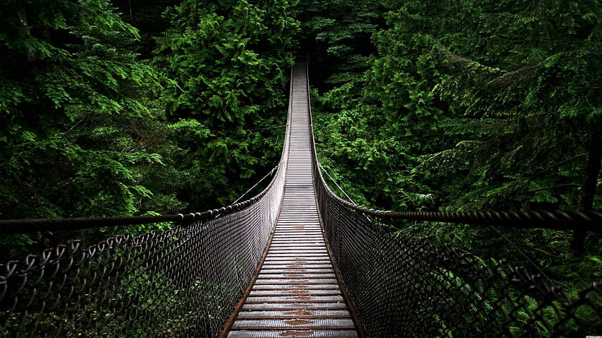 Capilano Asma Köprüsü Vancouver, Vancouver BC HD duvar kağıdı