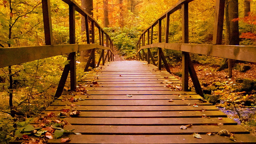 Wooden Bridge Forest Autumn Leaves Laptop Full HD wallpaper
