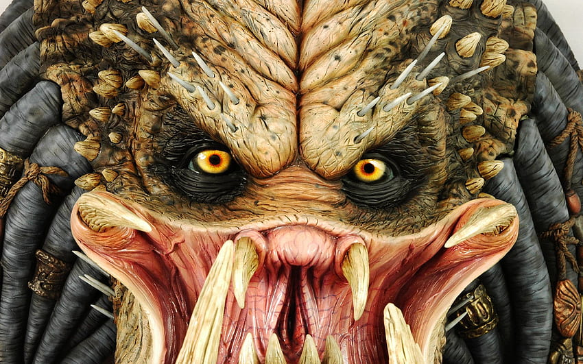 Ugly Face HD wallpaper Ugly Face HD wallpaper