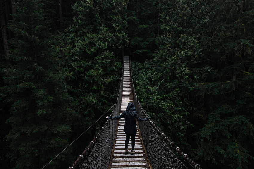 / une femme marche sur le pont du parc Lynn Canyon à North Vancouver en Colombie-Britannique, une fille marche sur un pont Fond d'écran HD