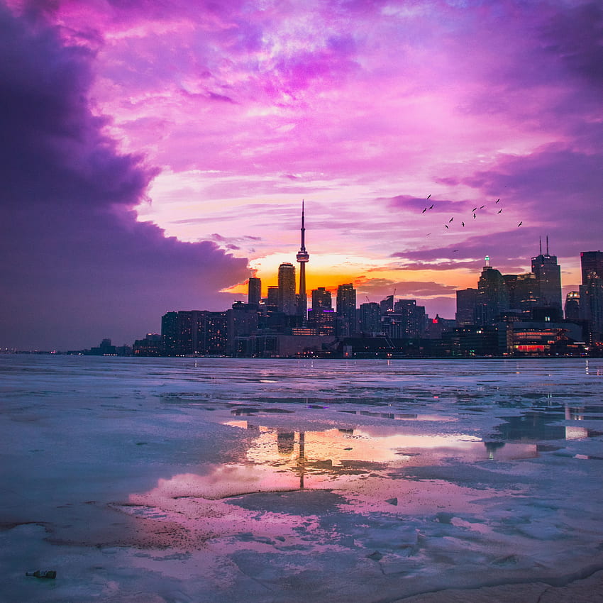ciudad, panorama, tarde, Toronto Canadá fondo de pantalla del teléfono