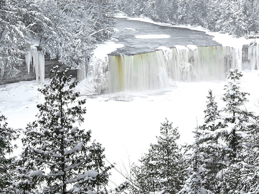 зимен водопад, зима, река, сняг, есен, дървета, водопад HD тапет