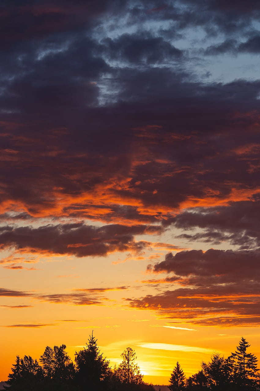 Sonnenuntergang am Abend HD-Handy-Hintergrundbild