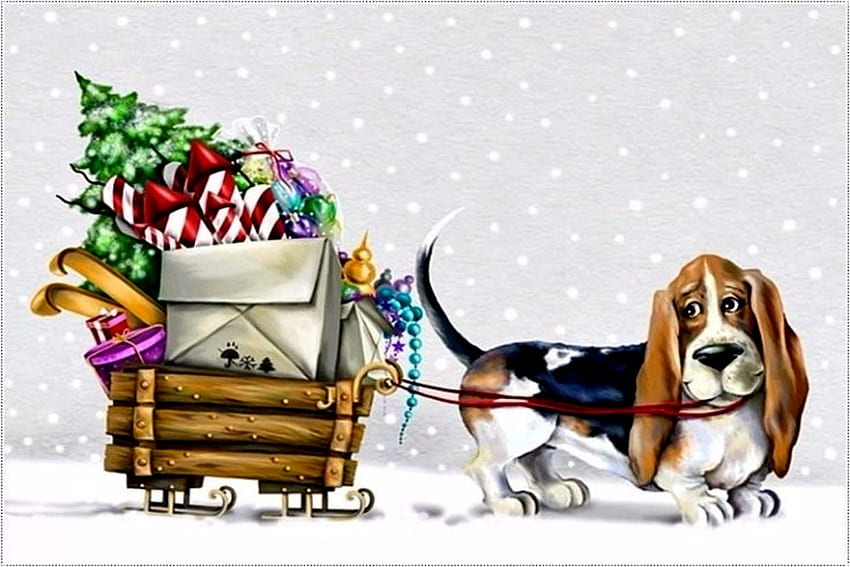 Geschenke liefern, Tiere, Geschenke, liefern, Hunde HD-Hintergrundbild