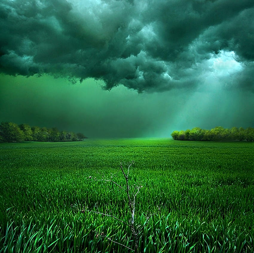 clouds, Field, Sunlight, Storm, Grass, Shrubs, Green, Landscape, Nature / and Mobile Background HD wallpaper