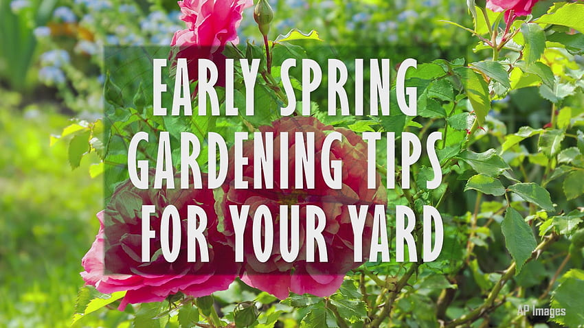 Spring gardening tips for the Pacific Northwest HD wallpaper
