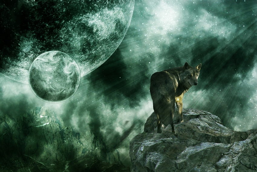 Wolf, wolves, 3d HD wallpaper