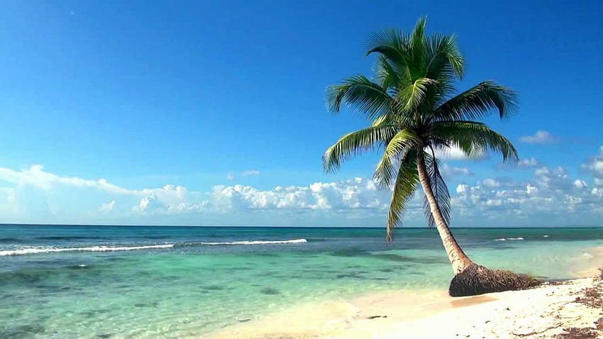 Relaxing Full Film Ocean Live Dreamscene, Relax 3D HD wallpaper