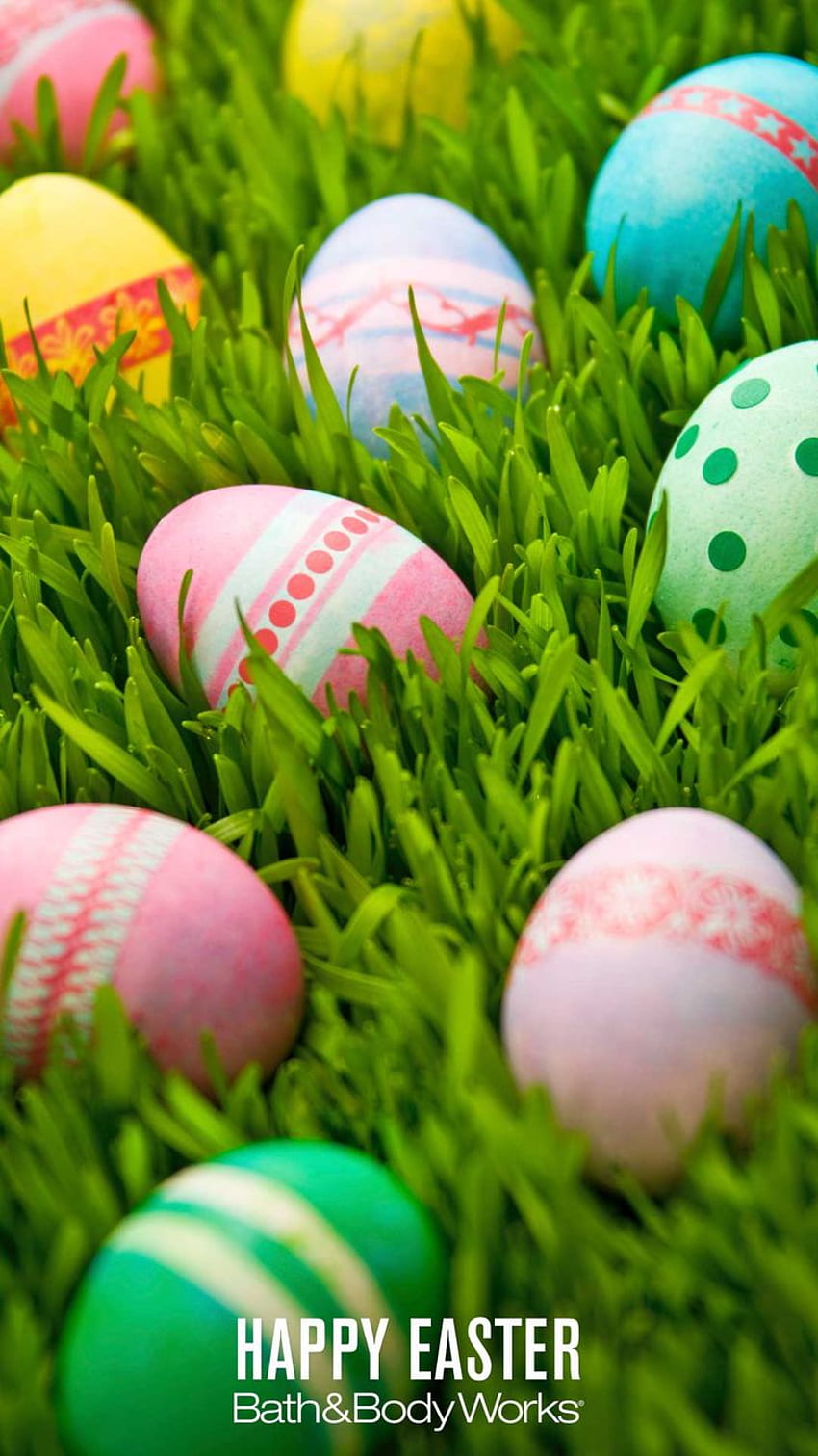 Easter Egg Hunt iPhone . Happy easter , Easter , Happy easter, Cute Happy Easter HD phone wallpaper