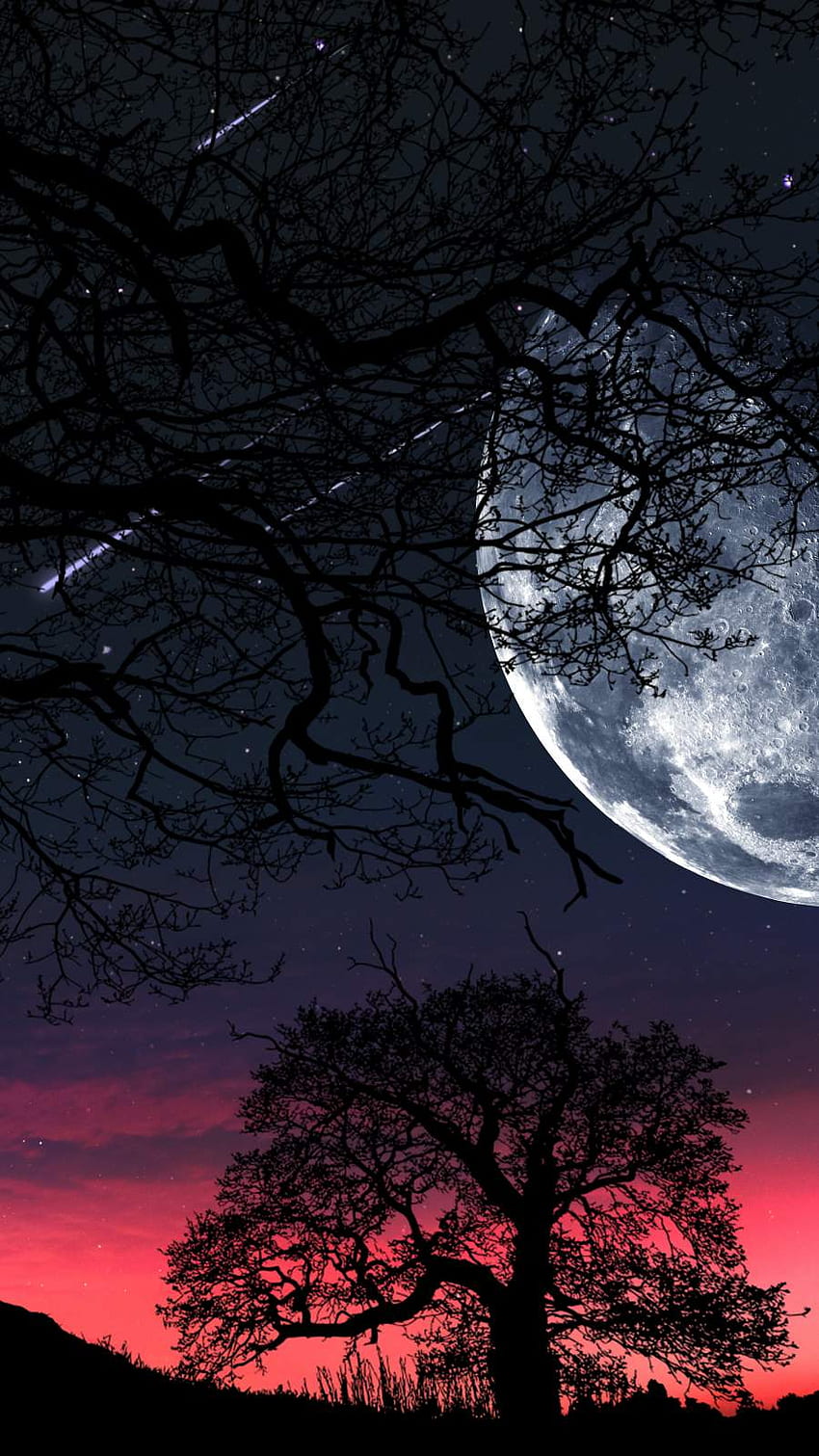 Moon Tree Silhouette - IPhone : iPhone HD phone wallpaper