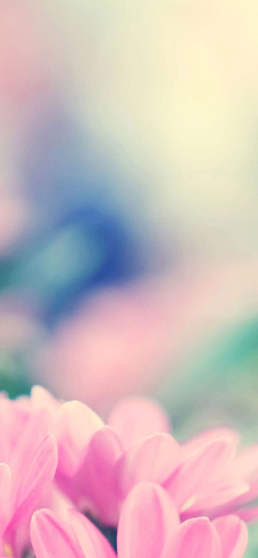 - iPhone Xr Flowers -, Pink XR HD phone wallpaper