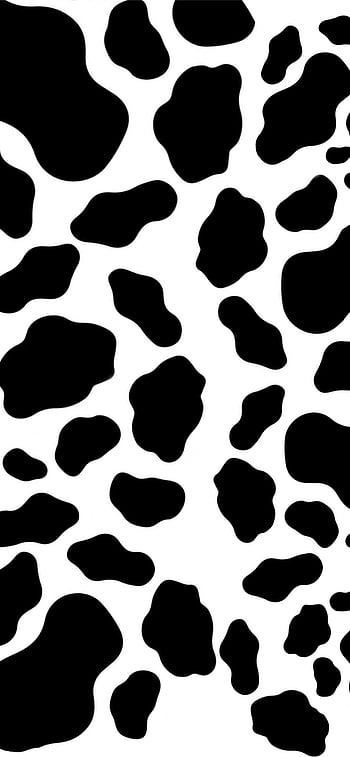 100 Cow Print Wallpapers  Wallpaperscom