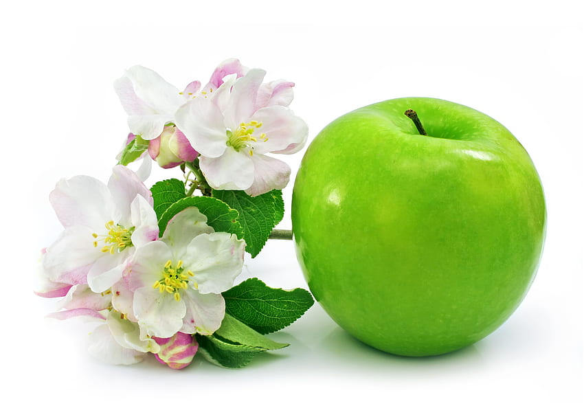 : แอปเปิ้ลเขียวกับต้นแอปเปิ้ลดอกไม้ วอลล์เปเปอร์ HD