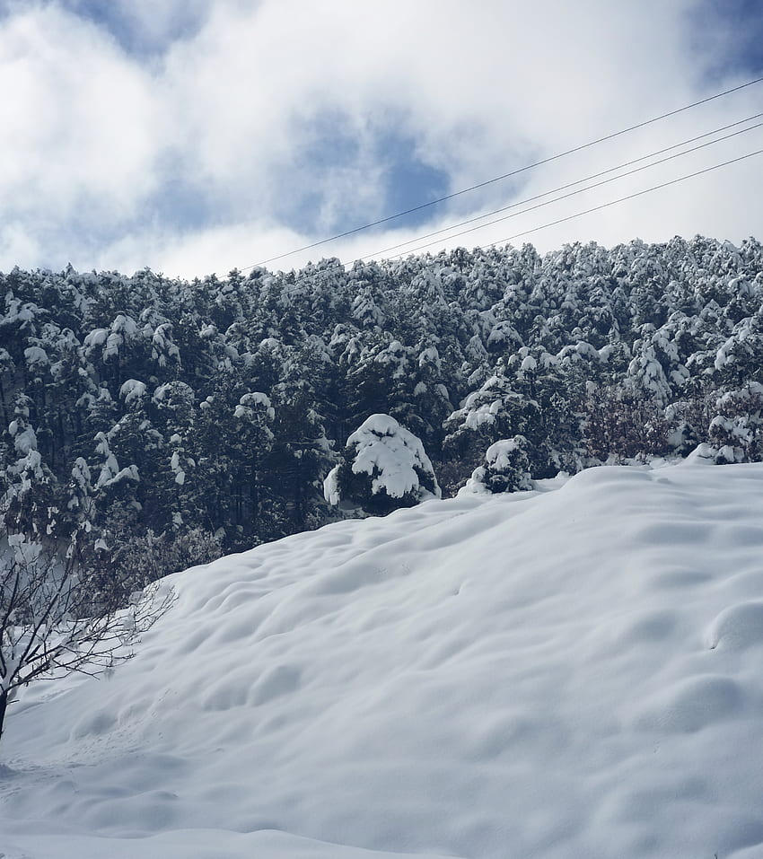 Kış, örtü, beyaz Sfondo del telefono HD