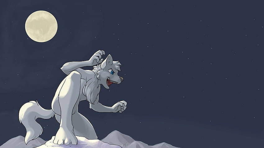 Wolf Furry, Furry Characters HD wallpaper