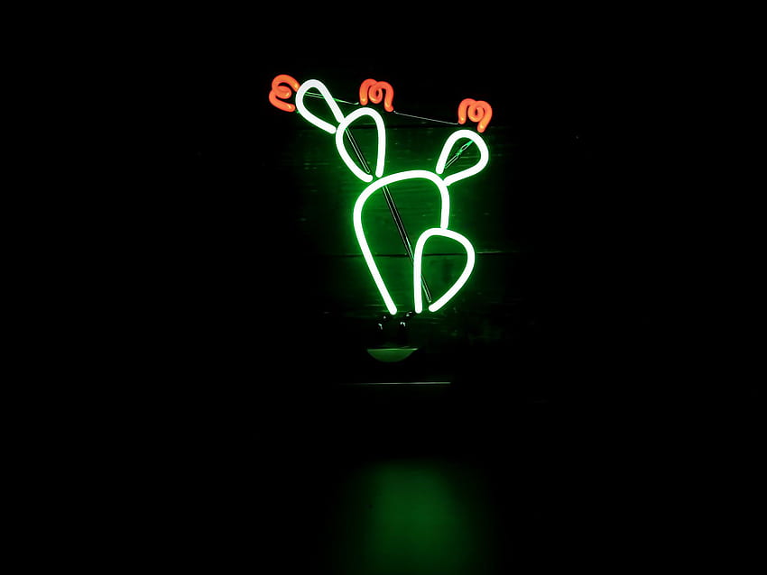 Cactus Neon - Industrias de gas noble, letrero de neón fondo de pantalla