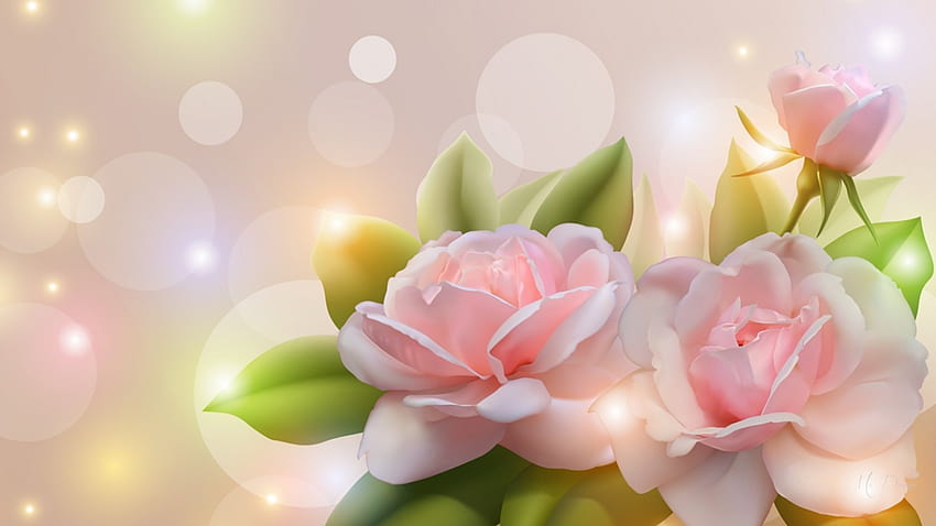 Soft Pink Roses, summer, bokeh, pink, roses, glow, shine, stars HD wallpaper