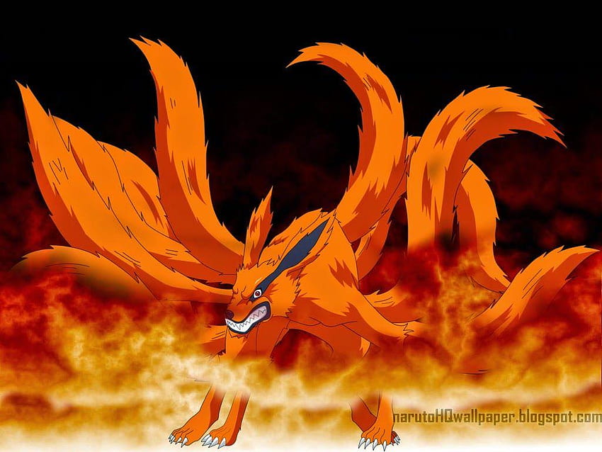 Nine Tailed Fox, Nine-Tailed Fox HD wallpaper