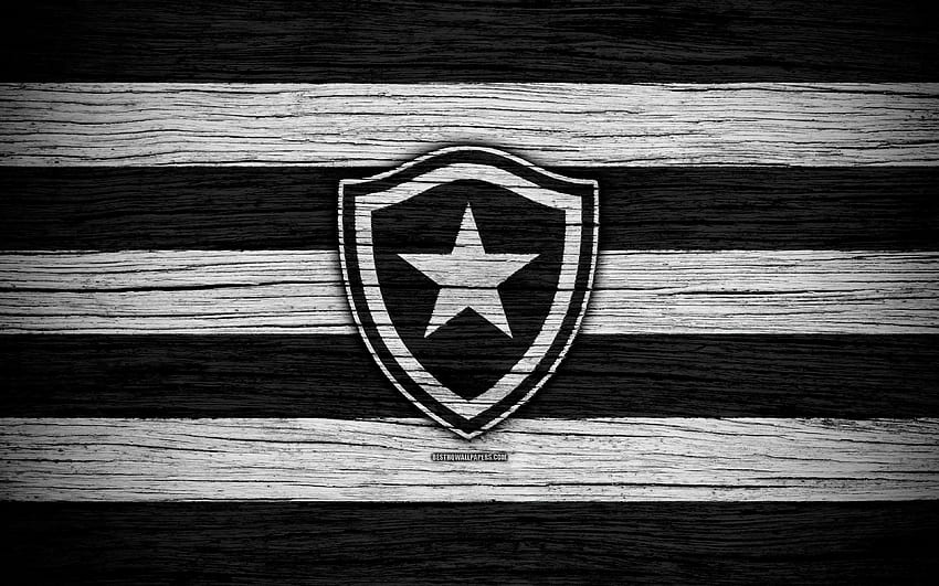 Botafogo, , Seria A Brasil, logo, Brasil, sepak bola, Botafogo FC, klub sepak bola, Botafogo FR, tekstur kayu, FC Botafogo untuk resolusi . Kualitas tinggi Wallpaper HD