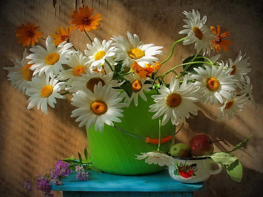 Still life, colorful, soft, vase, beautiful, cup, spring, fresh, nice, daisies, tender, delicate, pretty, freshness, flowers, lovely HD wallpaper