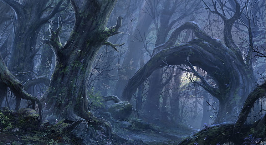 フォレスト コンピューター、背景。 . 幻想の森、神秘の森、森、暗い魔法の森 高画質の壁紙
