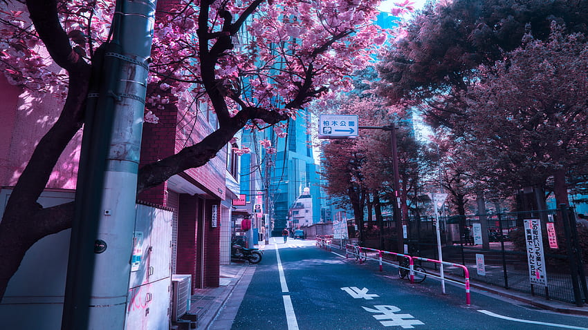 Japan-Stil, Licht, Natur HD-Hintergrundbild