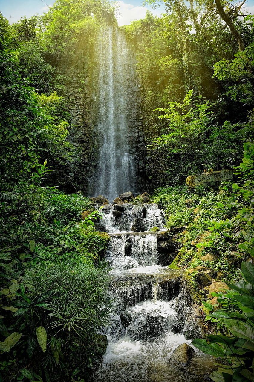 Vertical Nature Waterfall , & background HD phone wallpaper
