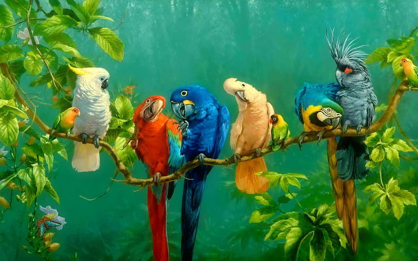 앵무새 나뭇가지 위의 화려한 새 빨강 노랑 파랑 흰색 잉꼬 앵무새, 파랑 앵무새 HD 월페이퍼