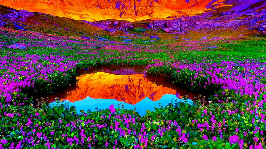 Purple Snapdragon, Purpl, Water, Snapdragon, Flowers, Reflection, River HD wallpaper