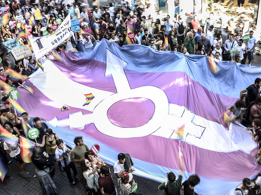 Transların feministlerle hiçbir ihtilafı yok - ya trans haklarını destekliyorlar ya da desteklemiyorlar | Bağımsız HD duvar kağıdı